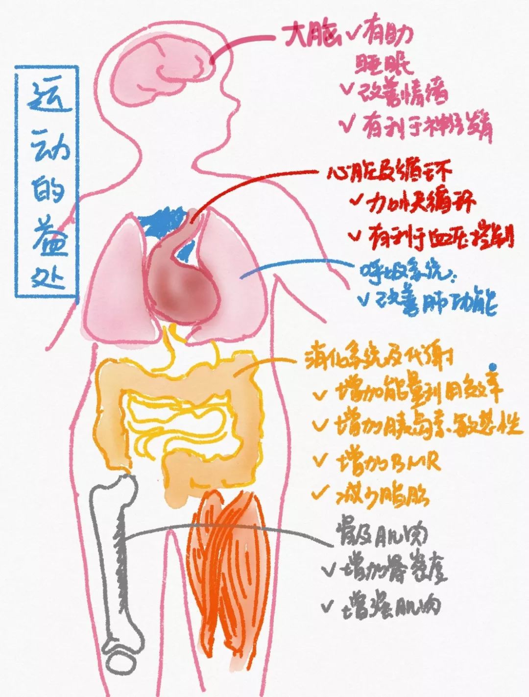 每周三百分钟有氧运动_运动标准每周有氧运动时间_每周运动氧分钟有什么变化