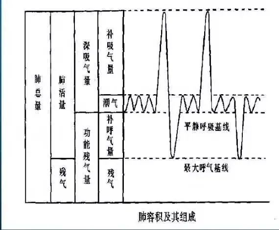 亚健康心肺功能_心肺功能康复训练系统_肺亚健康状态的具体表现