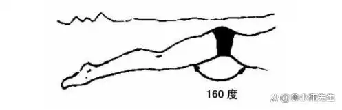 游泳自拍技巧全身动作_游泳自拍的说说_游泳如何自拍动作