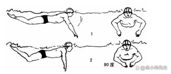 游泳自拍技巧全身动作_游泳如何自拍动作_游泳自拍的说说