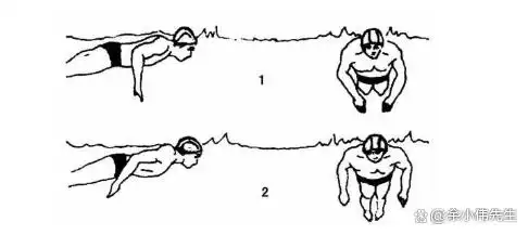 游泳如何自拍动作_游泳自拍的说说_游泳自拍技巧全身动作