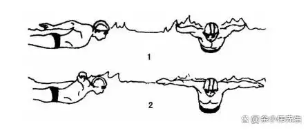 游泳如何自拍动作_游泳自拍技巧全身动作_游泳自拍的说说